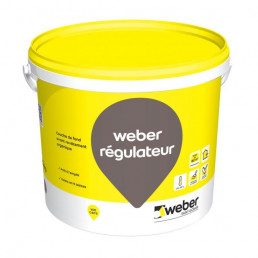 WEBER REGULATEUR